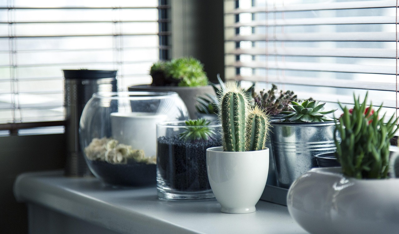 Hangende planten in een stedelijke woonkamer Hangende planten in een stedelijke woonkamer