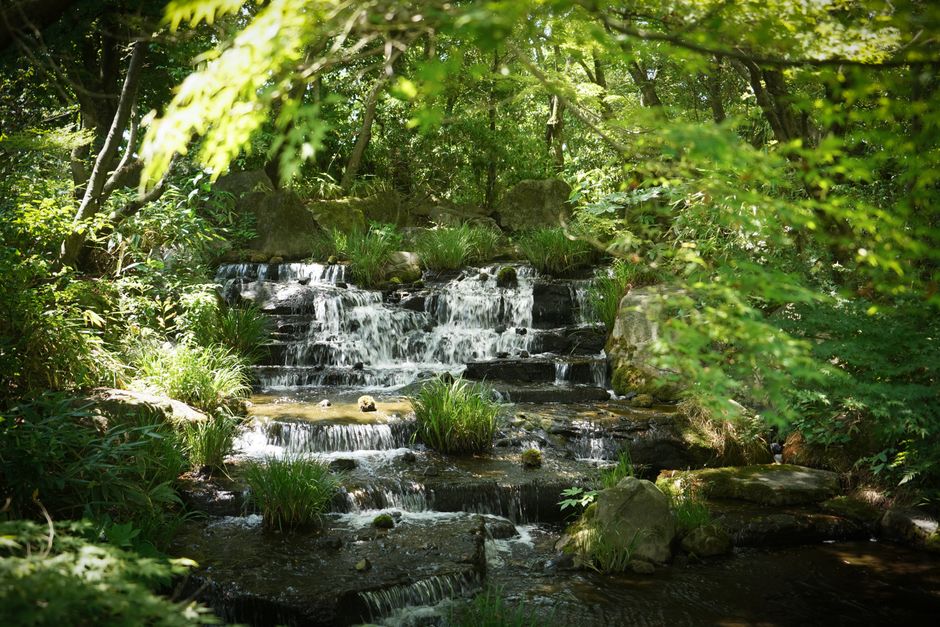 Bamboe fontein laat zachtjes water in vijver vallen. Bamboe fontein laat zachtjes water in vijver vallen.