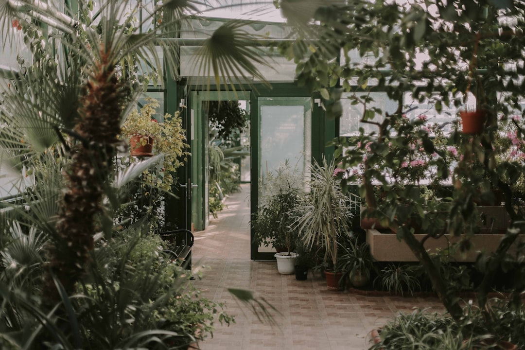 Wellness-serre met groene planten en zachte stoelen. Wellness-serre met groene planten en zachte stoelen.