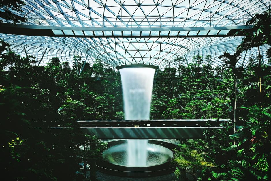 Biomimetische structuren in moderne tuinarchitectuur. Biomimetische structuren in moderne tuinarchitectuur.
