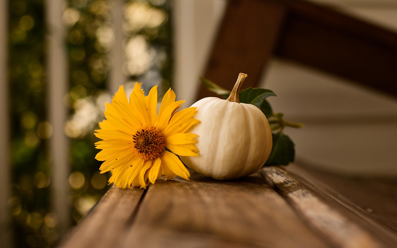 Raamdecoratie met herfstmotieven voor lente entree. Raamdecoratie met herfstmotieven voor lente entree.